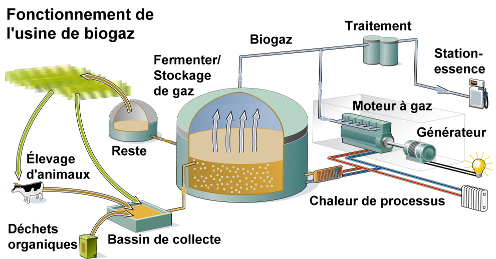 Fonctionnement de l'usine de biogaz