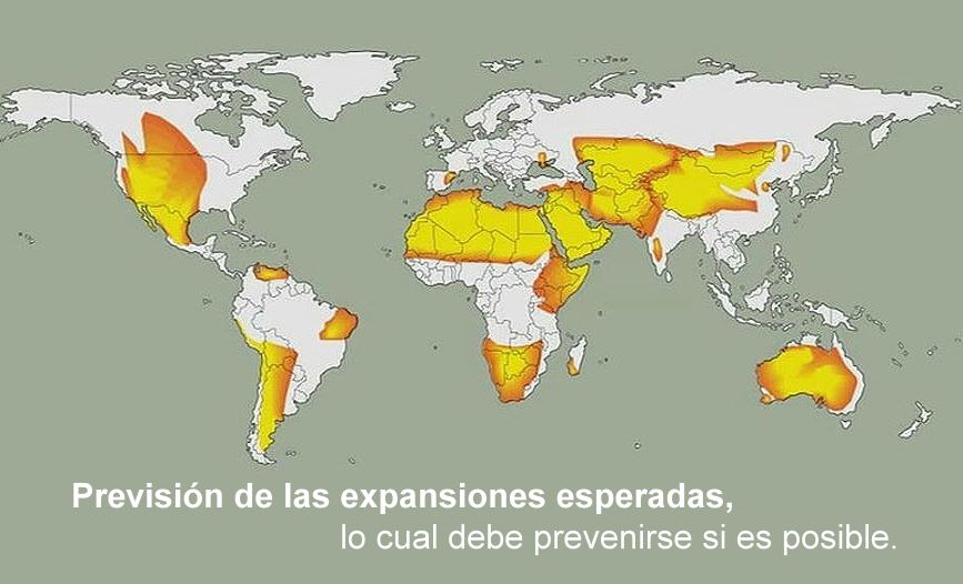 Expansión de los desiertos