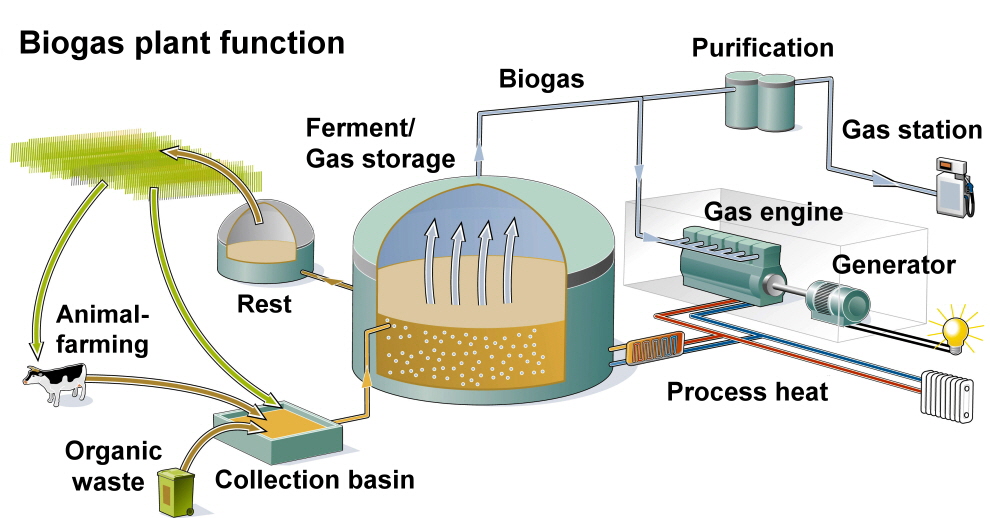 Biogas plant function