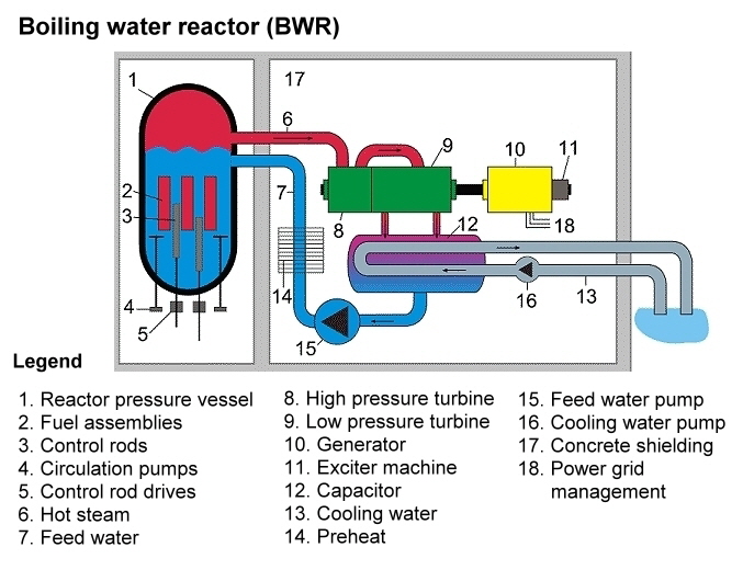 Boiling water reactor (BWR) 